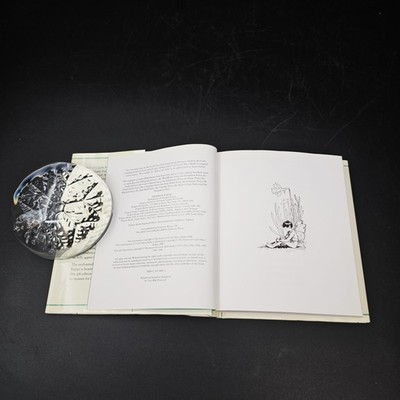 A Flower Fairies Treasury: Containing a World of Flower Fairies