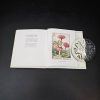 A Flower Fairies Treasury: Containing a World of Flower Fairies