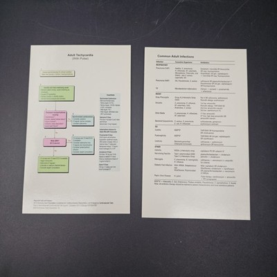 1-516.jpg Differential Diagnosis for Primary Care: A Handbook for Health