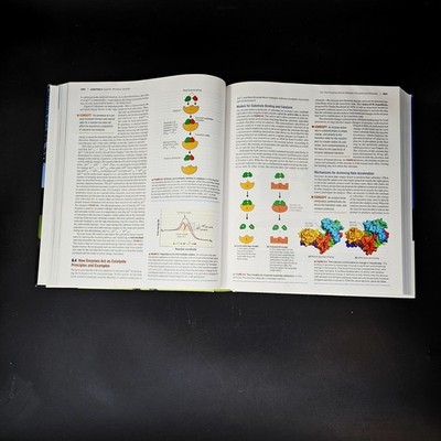 Biochemistry: Concepts and Connections