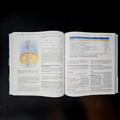 Biochemistry: Concepts and Connections