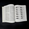 1-752.jpg Hands of Light: A Guide to Healing Through the Human Energy Field